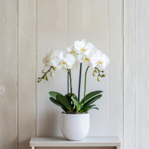 Alecrim studios flower basket- Philadelphia, PA - New Jersey - NJ (23)